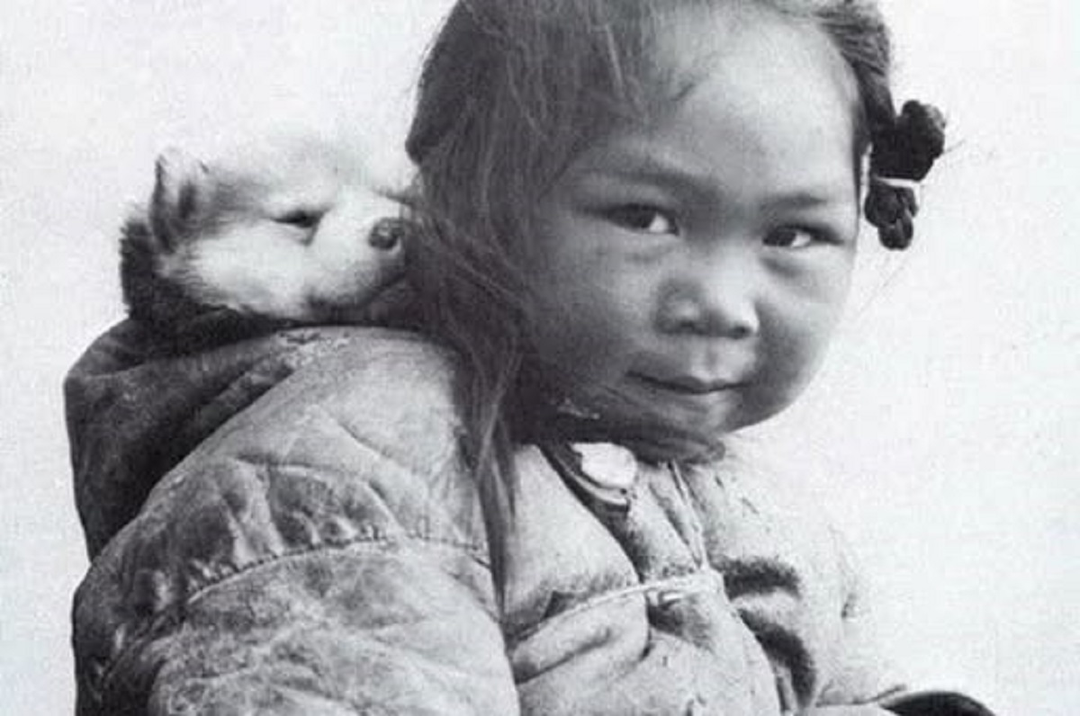 En la foto, una niña inuit carga en la espalda un cachorro