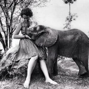 Daphne Sheldrick