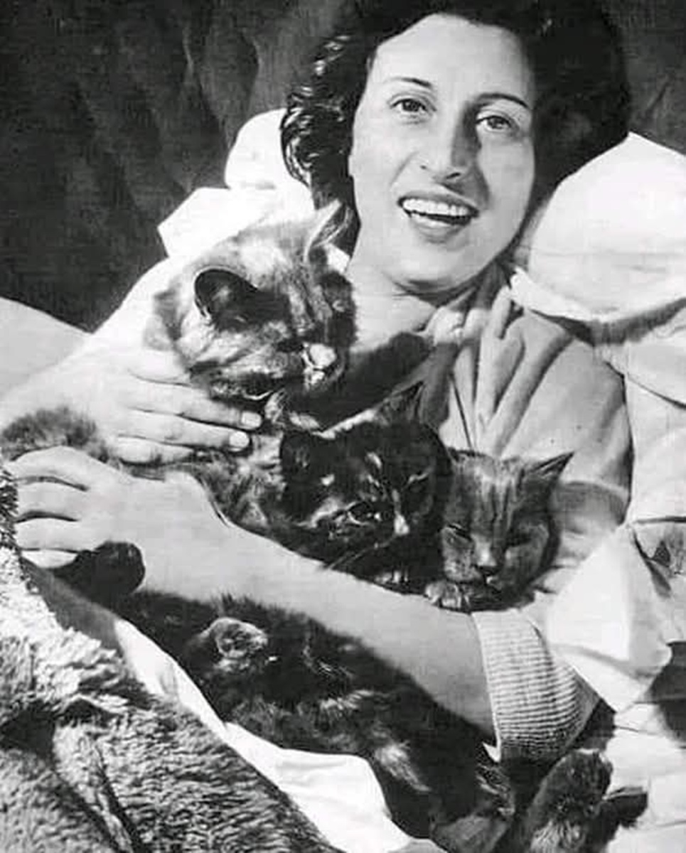 En la foto, Anna Magnani con sus gatos