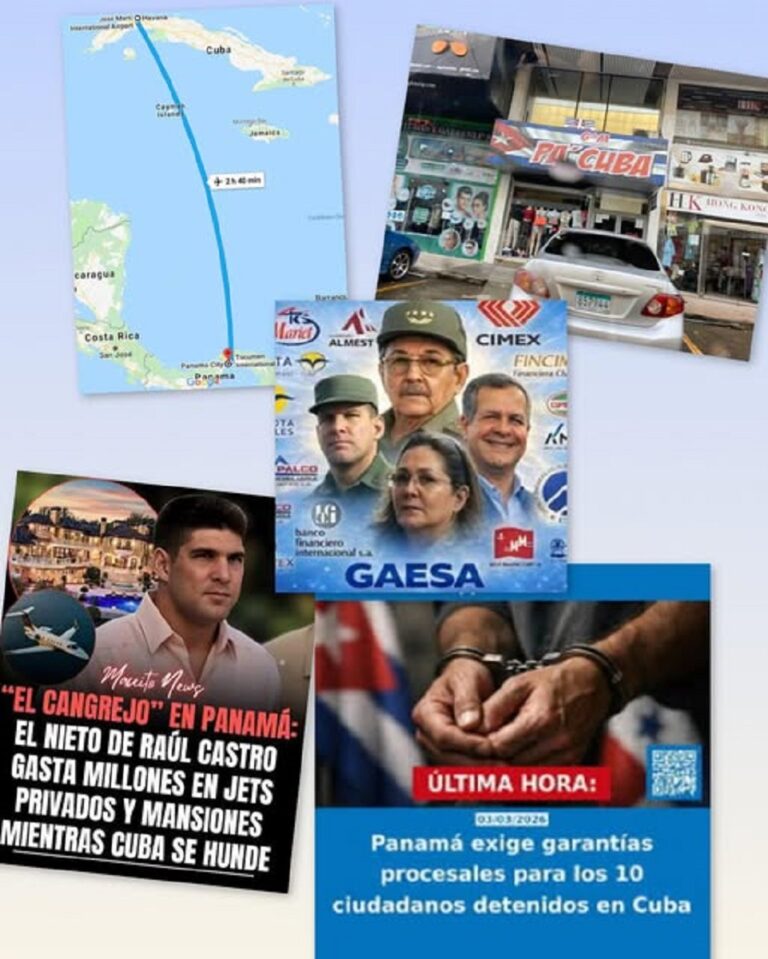 En la foto, un collage relativo al tema