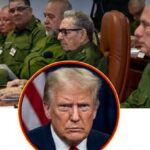 En la foto, un montaje con la élite castrista y Trump