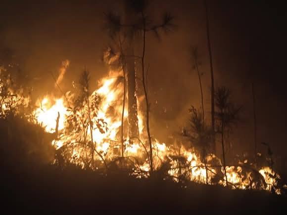 Los incendios en Pinar del Río desnudan la incapacidad de la dictadura