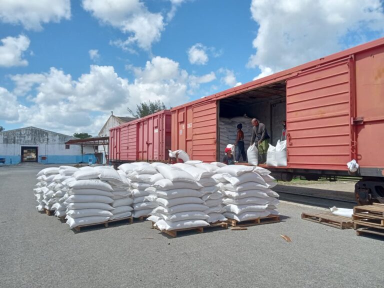 Arroz, chícharos y caballos: la absurda logística alimentaria del régimen cubano en Las Tunas