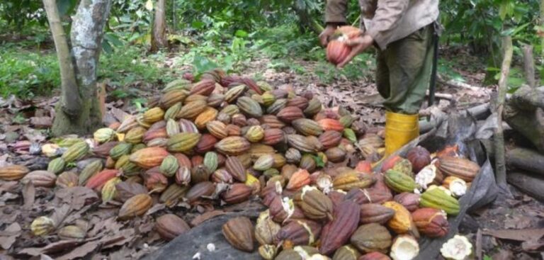 Guantánamo presume exportaciones mientras su población apenas tiene comida