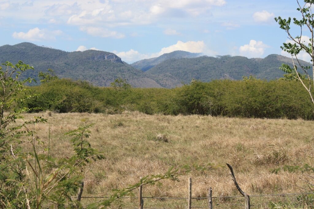 En la foto, tierras ociosas en Cuba
