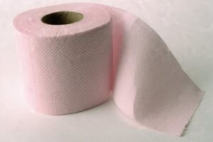 En la foto, un rollo de papel higiénico
