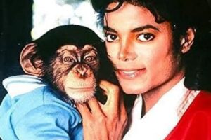 En la foto, Bubbles, el chimpancé que fue estrella sin pedirlo y Michael Jackson