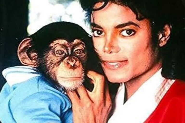 En la foto, Bubbles, el chimpancé que fue estrella sin pedirlo y Michael Jackson