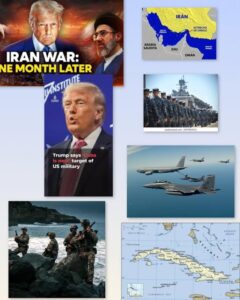 En la foto, un collage relativo al tema