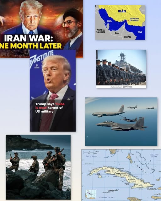 En la foto, un collage relativo al tema