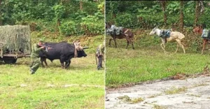 En la foto, montaje que da risa sobre las Fuerzas Armadas cubanas