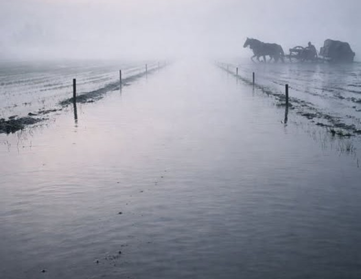 La guerra que se ahogó en un arrozal 1 En la foto, una imagen relativa al texto