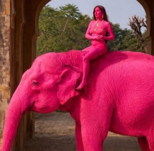 En la foto, Chanchal pintada de rosa