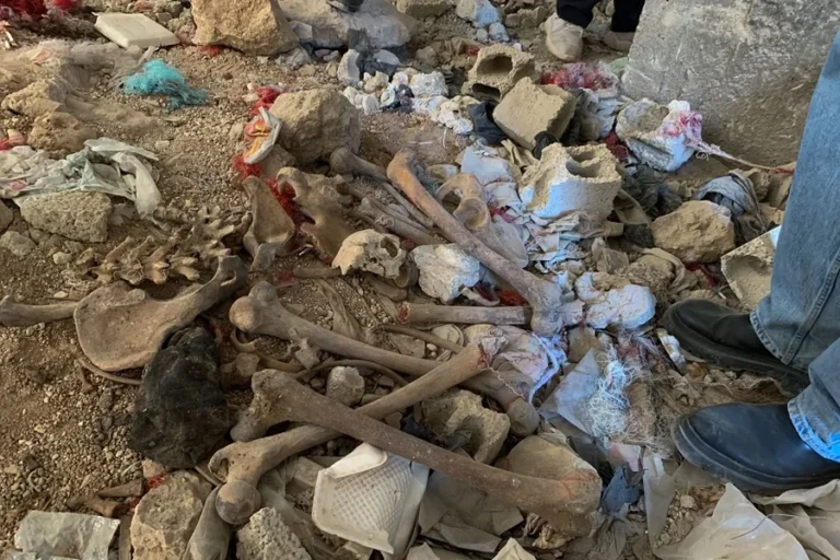 En la foto, restos humanos encontrados en el barrio de Tadamon, en Damasco, donde se descubrieron fosas comunes con víctimas de ejecuciones extrajudiciales