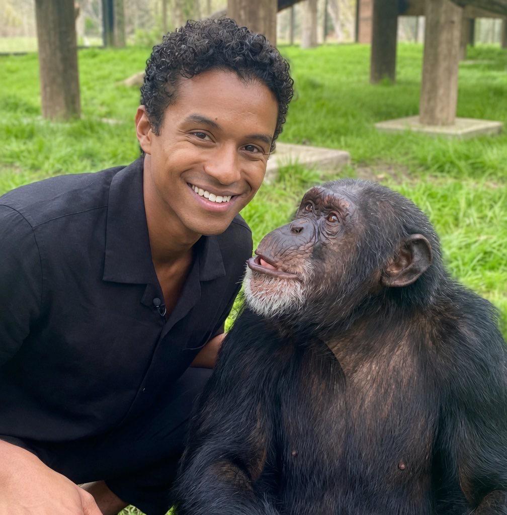 Bubbles, el chimpancé que fue estrella sin pedirlo