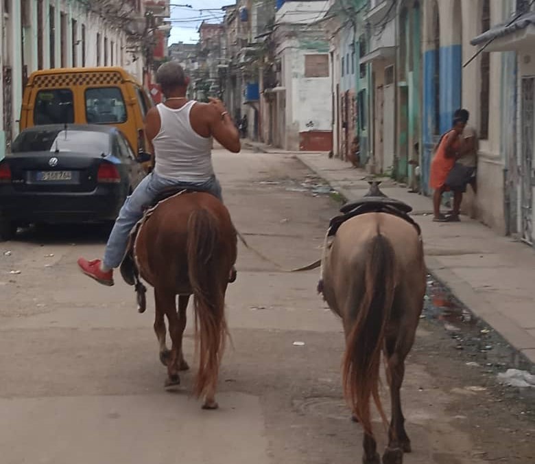 La Habana y la basura: una historia de amor oficial