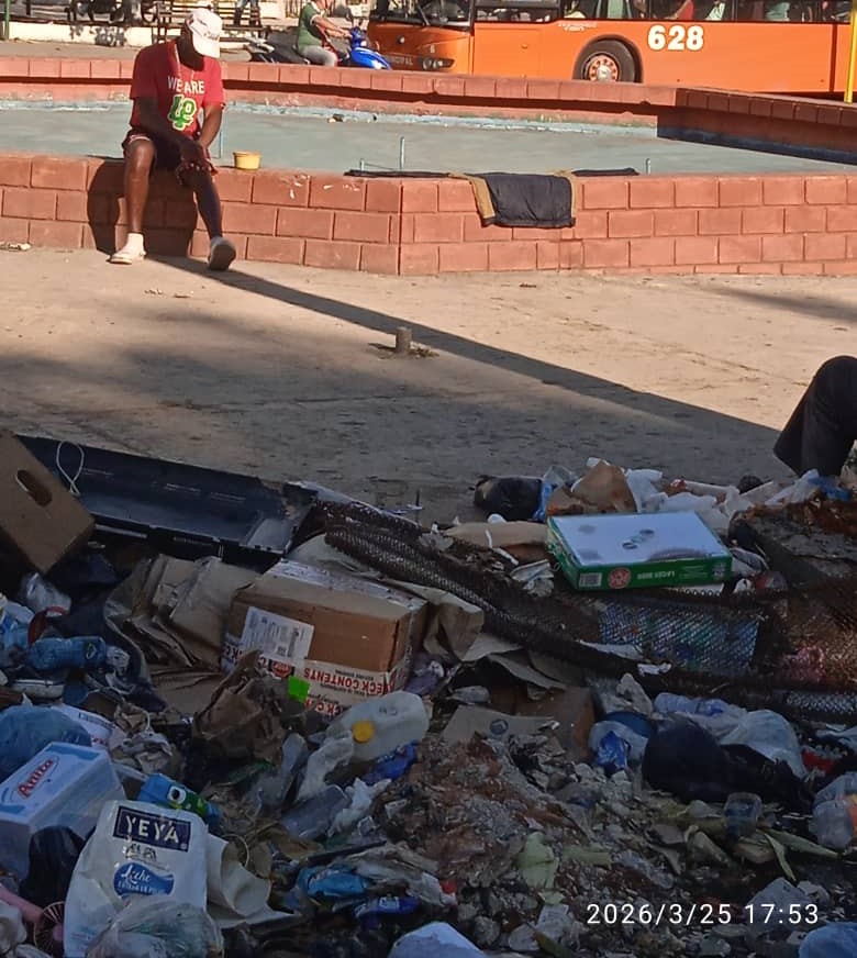 La Habana y la basura: una historia de amor oficial