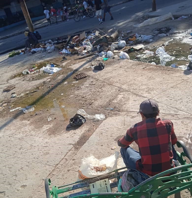 La Habana y la basura: una historia de amor oficial