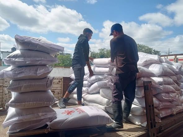 Cinco libras de arroz es el premio a la supervivencia