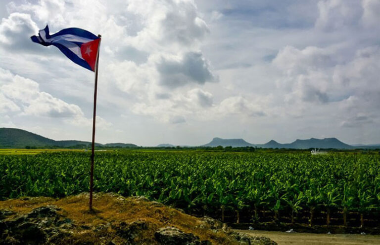 Holguín impulsa proyectos científicos para "combatir el hambre"