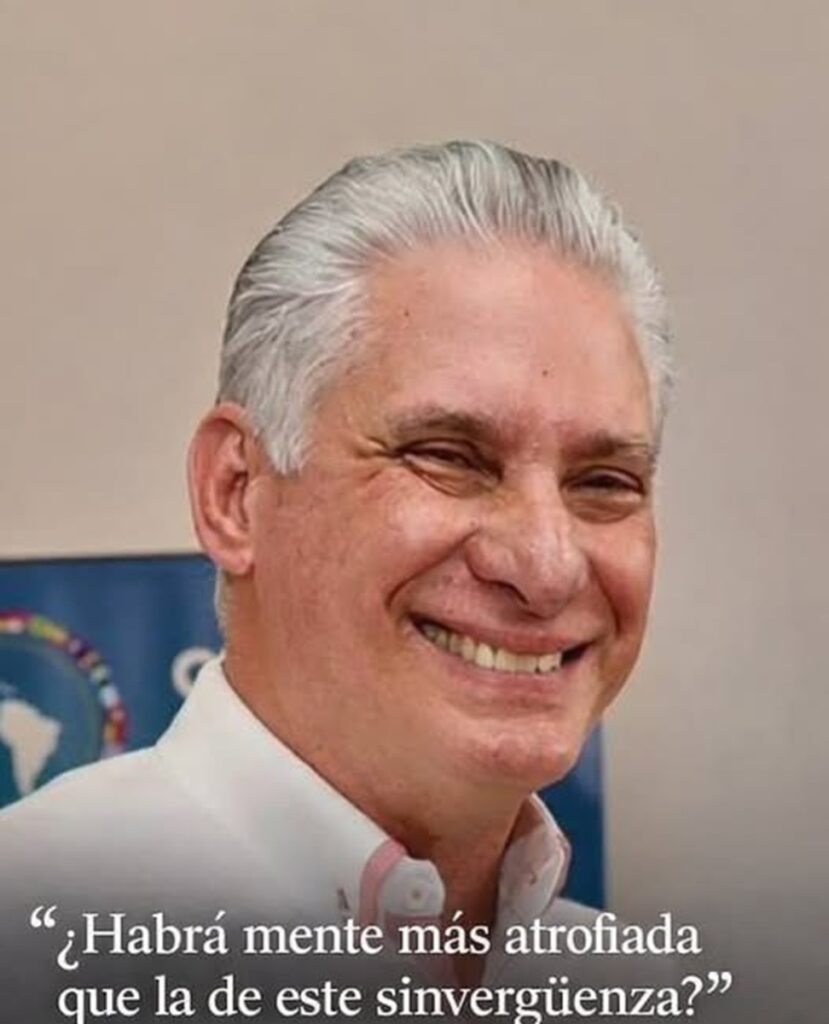 En la foto, Miguel Díaz-Canel