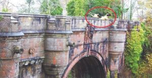 En la foto, un perro se lanza del puente