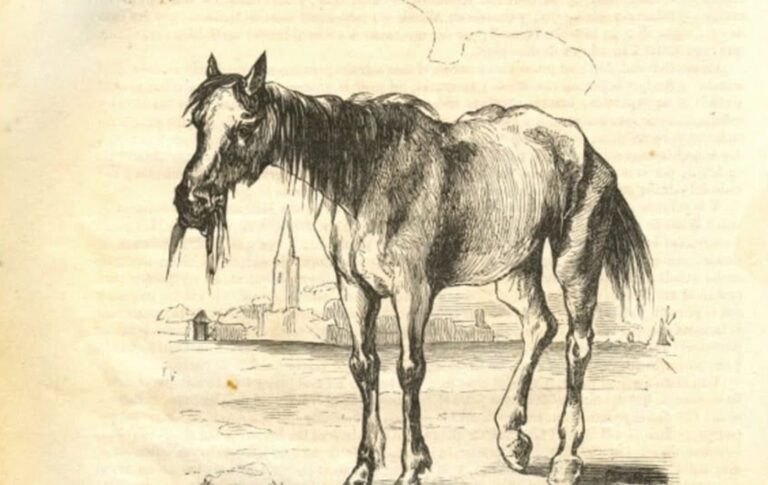Lo aparentemente normal (que no lo es, por supuesto) 2 En la foto, un dibujo de un caballo viejo