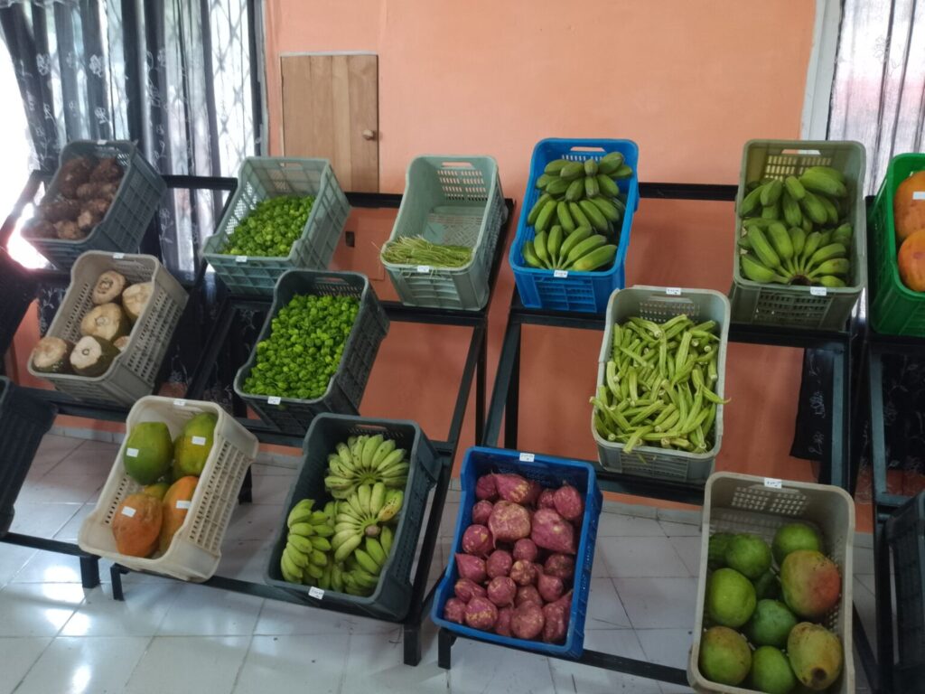 Inauguran un mercado en Güines con aire acondicionado… ahora falta inaugurar la electricidad