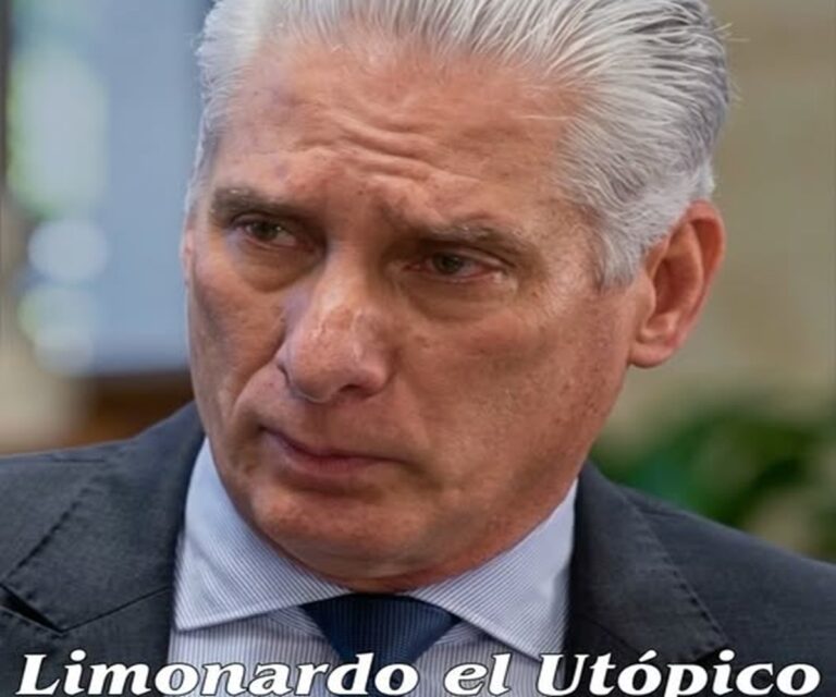 La utopía que nunca existió 1 En la foto, Díaz-Canel