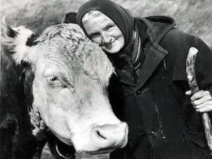 En la foto, Hannah Hauxwell y una vaca