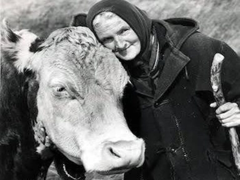 En la foto, Hannah Hauxwell y una vaca