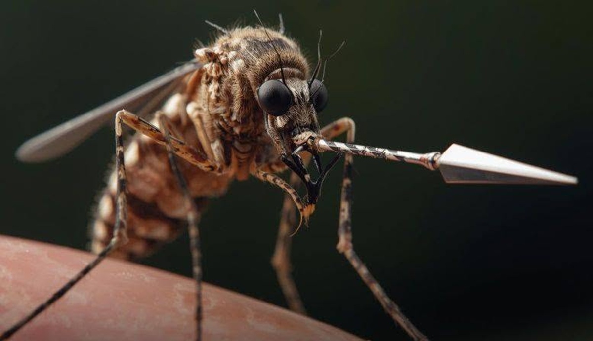 En la foto, una imagen de IA de un mosquito con una lanza