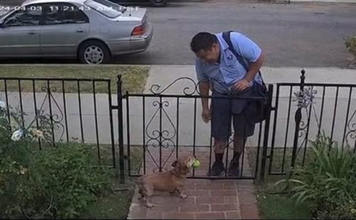 El perro que esperaba al cartero 1 En la foto, el cartero y el perro