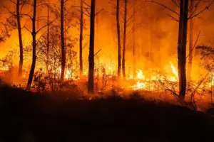 En la foto, Vista del fuego en la zona de las Landas en Francia