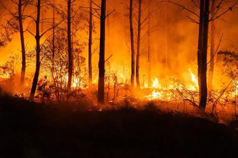 En la foto, Vista del fuego en la zona de las Landas en Francia