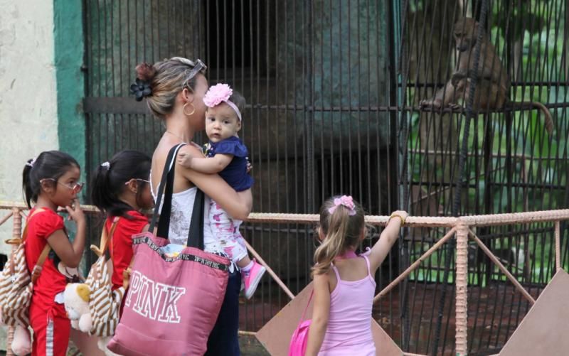 La gran noticia de Cuba: llegó un monito