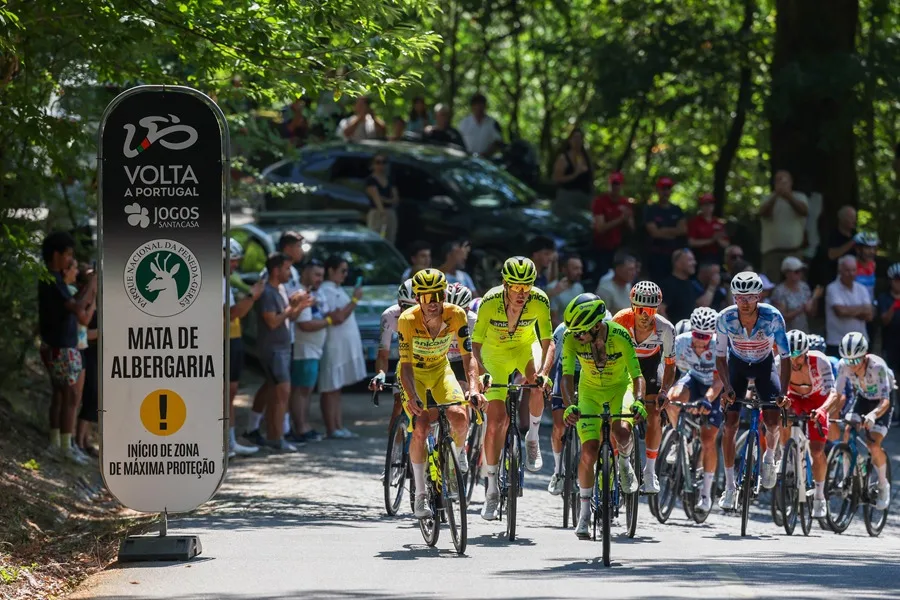 En la foto, El pelotón entrando en Mata da Albergaria en el Parque Peneda-Geres durante la séptima etapa de la Volta a Portugal