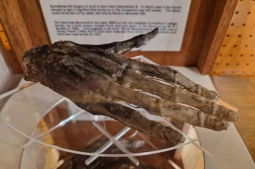  La mano que no encendió