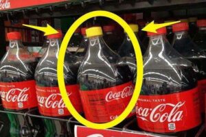 En la foto, botellas de Coca Cola con tapas de diferentes colores
