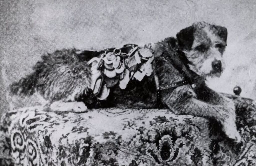 El cartero de cuatro patas que dio la vuelta al mundo 3 En la foto, Owney, el perro cartero