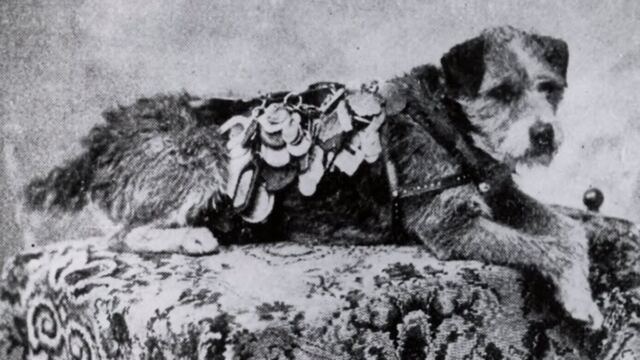 En la foto, Owney, el perro cartero