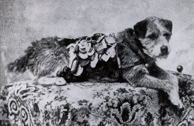 El cartero de cuatro patas que dio la vuelta al mundo 1 En la foto, Owney, el perro cartero