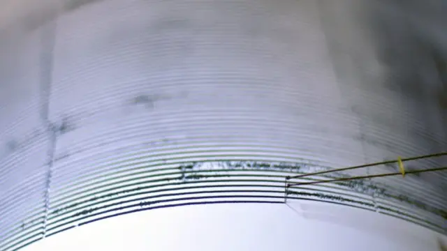 En la foto, ondas en un sismógrafo