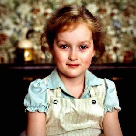 Meryl Streep: Biografia de la mujer que lo cambió todo en Hollywood 2 Meryl Streep: Biografia de la mujer que lo cambió todo en Hollywood