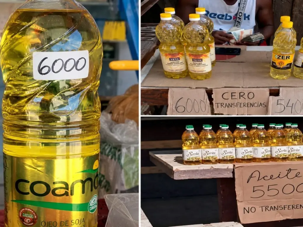 La dictadura persigue a los negocios privados en lugar de asumir su responsabilidad por la crisis