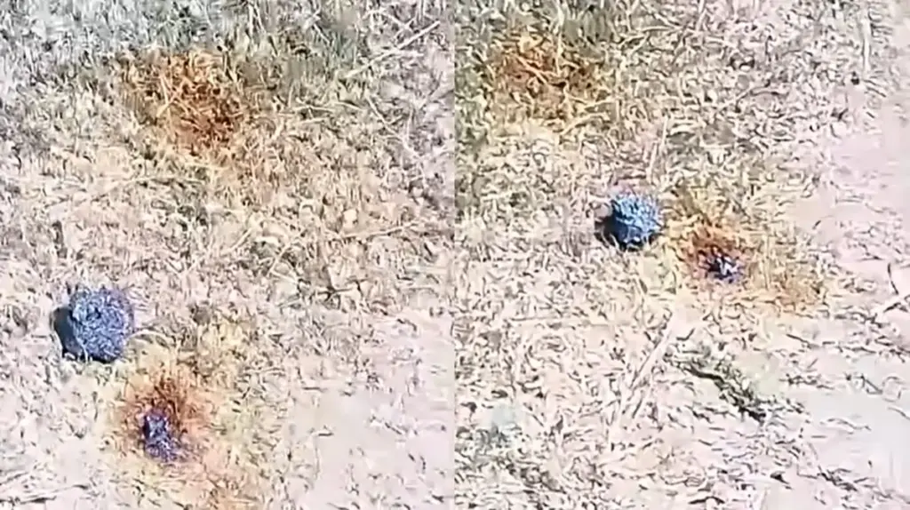 Hasta un meteorito nos cae encima