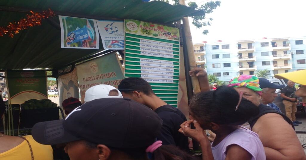 La gran feria contra el hambre