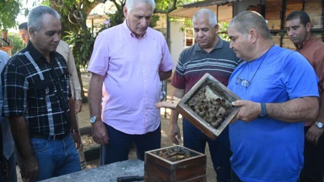 En la foto, Díaz-Canel en Mayabeque