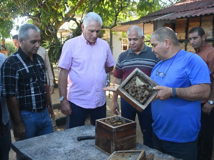 En la foto, Díaz-Canel en Mayabeque