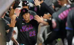 En la foto, Juan Soto